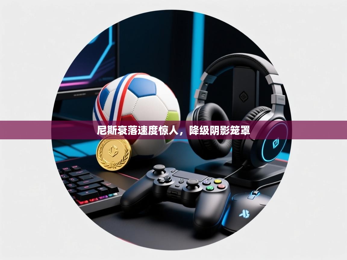 尼斯衰落速度惊人，降级阴影笼罩  第2张