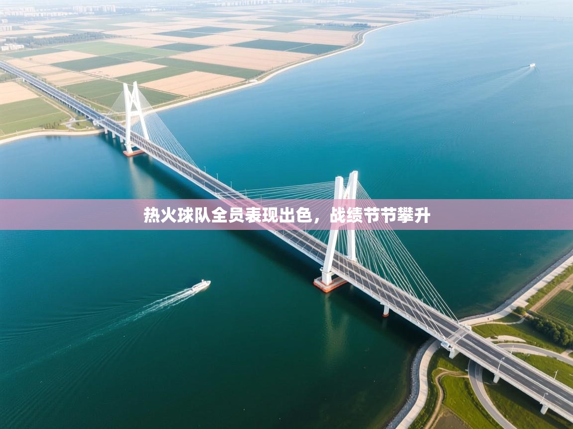 热火球队全员表现出色，战绩节节攀升  第1张