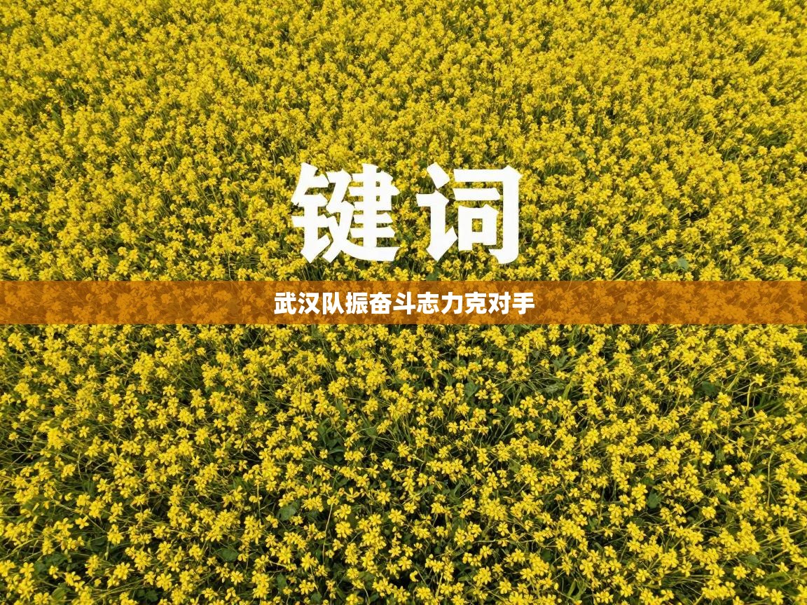 武汉队振奋斗志力克对手  第1张