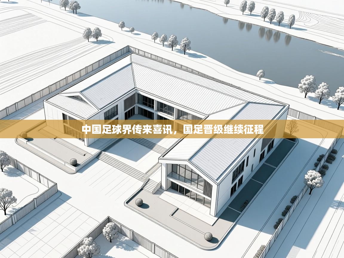 中国足球界传来喜讯，国足晋级继续征程  第2张