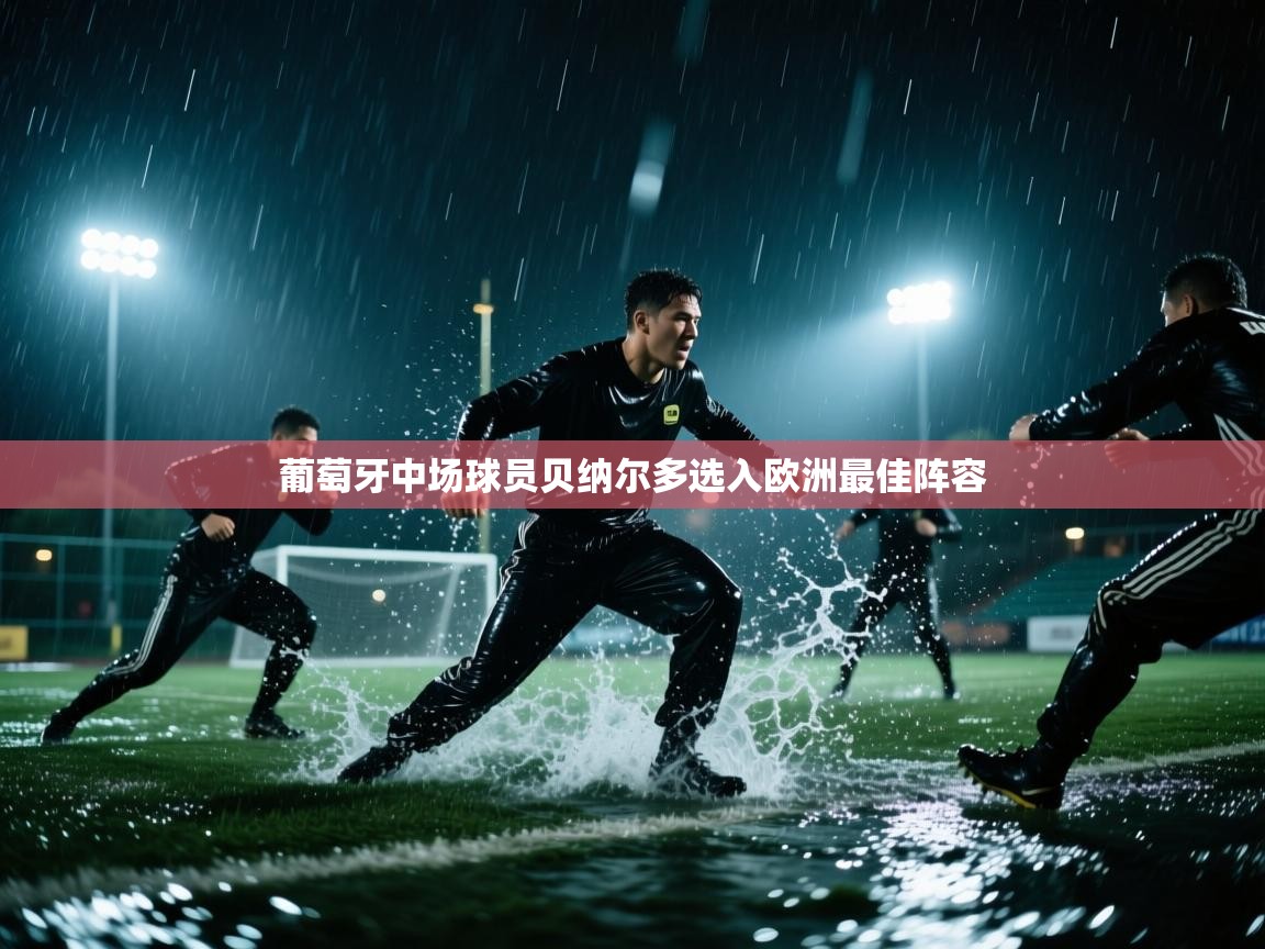 葡萄牙中场球员贝纳尔多选入欧洲最佳阵容 第2张