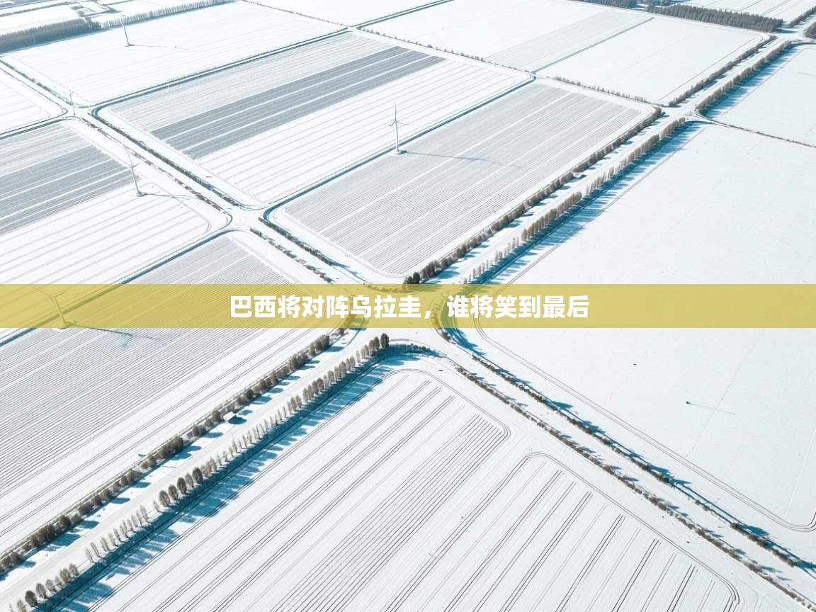 巴西将对阵乌拉圭,谁将笑到最后 第1张