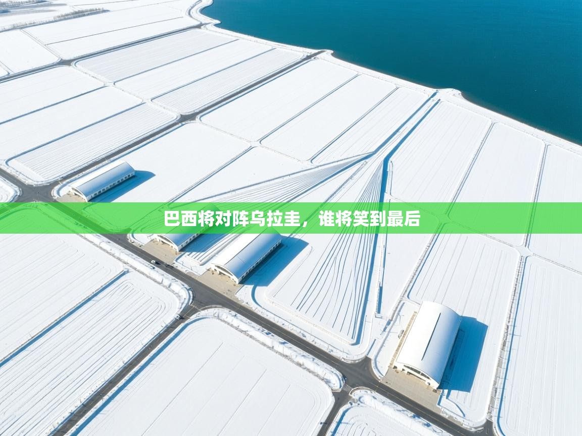 巴西将对阵乌拉圭,谁将笑到最后 第2张