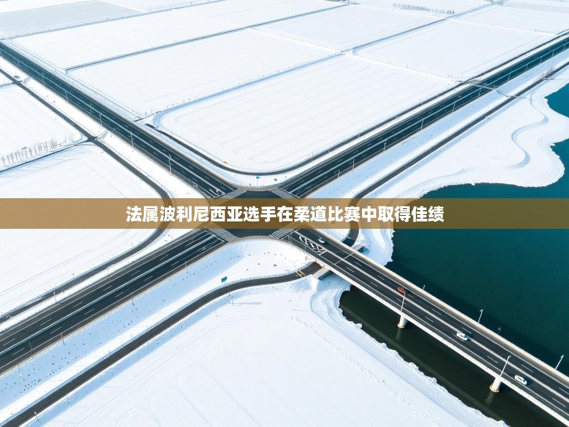 法属波利尼西亚选手在柔道比赛中取得佳绩 第1张